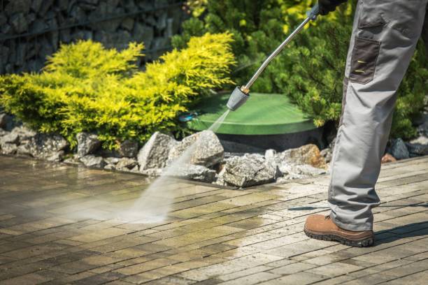 Best Factory Floor Cleaning  in West Columbia, TX