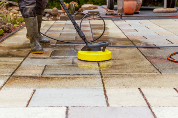 Best Solar Panel Cleaning  in West Columbia, TX