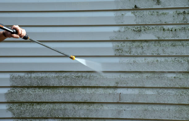 Best Patio and Deck Pressure Washing  in West Columbia, TX