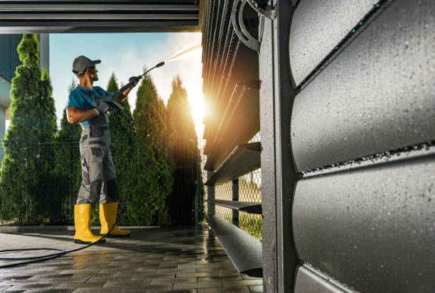 Animal Enclosure Cleaning in West Columbia, TX